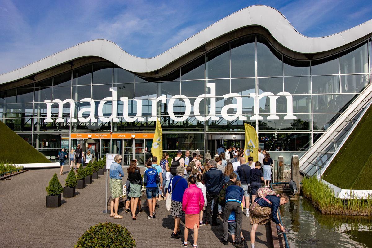 Fotoserie van een geslaagde gezinsdag
